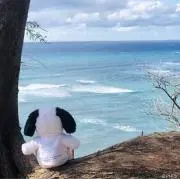 Mahalo/フォロワー様割引実施中ですの画像