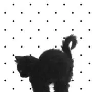 mokoの画像