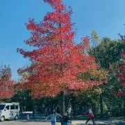 saaaaa-プロフィール必読-の画像