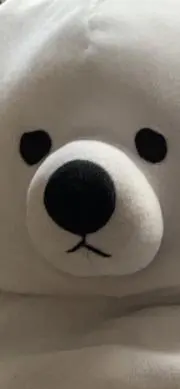 ヨシの画像