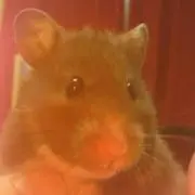ぶみちゃん