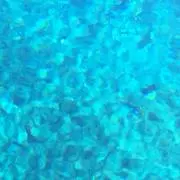 れたすの画像