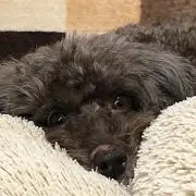 たけちゃん