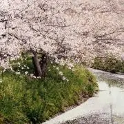 かくれんぼ