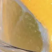 カフェイン ホントノジブン CD - メルカリ