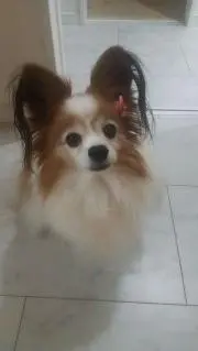 noricheke