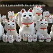 サマーの画像
