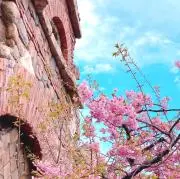 大翔