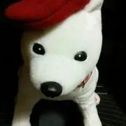 こなんの画像