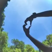 わかの画像