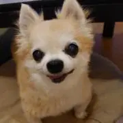 machiko0823の画像