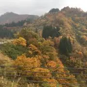 もりもり