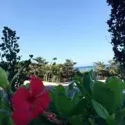 まんもすのりぴ《プロフ必読！》