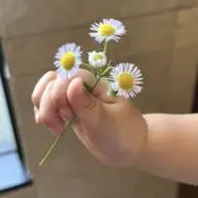kzhの画像