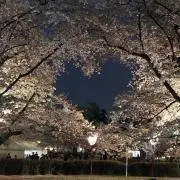 mumuの画像