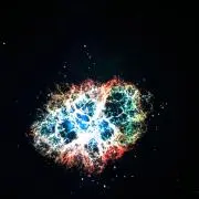 Our Legacy adorable サングラス 井口理 King gnu着 - メルカリ