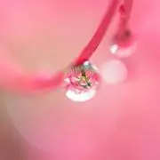 らら♥の画像