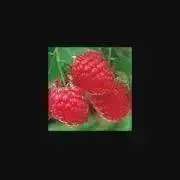 ⭐️⭐︎⭐️の画像