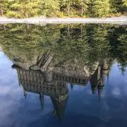 まきまき