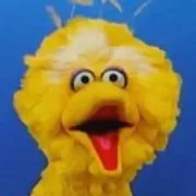 Yohey 8/16まで発送できませんの画像