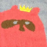 たぬき＊プロフ読んでくださいの画像