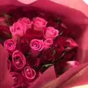 Chihiの画像