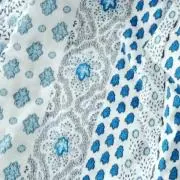 SOLの画像