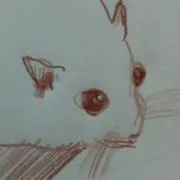 Hiroの画像