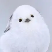 ❇︎アリス❇︎全品同梱割⭕️プロ必読‼️の画像
