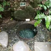 スガワラ ツグナの画像