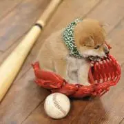 ぺそ