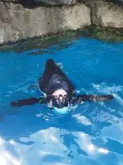 ＡNNＺjizzzの画像