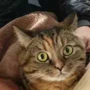ようちゃん