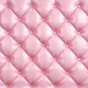 ぬんの画像
