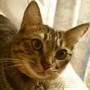 ルナ