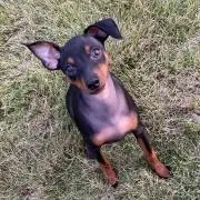 Ma