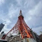 ひのこの画像