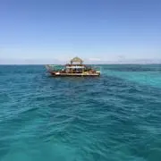 MASAの画像