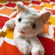 にゃーすけまにあの画像