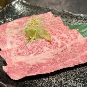 Aryaの画像