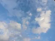 ボビーとトミーの画像