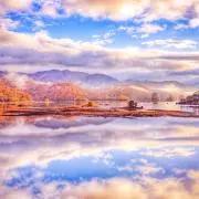 necoの画像