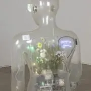 purdyの画像