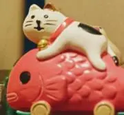 しぶち