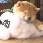なな
