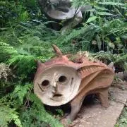 omotoの画像