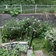 ゆずママ♡即購入OKです♡の画像