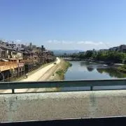 るかの画像