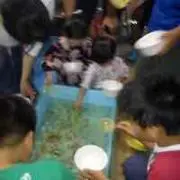 チャンチーの画像