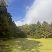 TAの画像